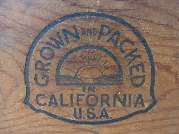 カリフォルニア・レーズンの仕切り付き・木製・ヴィンテージ・ウッドボックス/木箱 USA