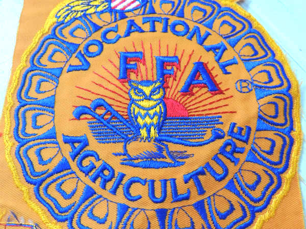 【FFAエンブレム・青年組織】USA・イーグル&ふくろう・ヴィンテージ・刺繍ワッペン・リメイク用