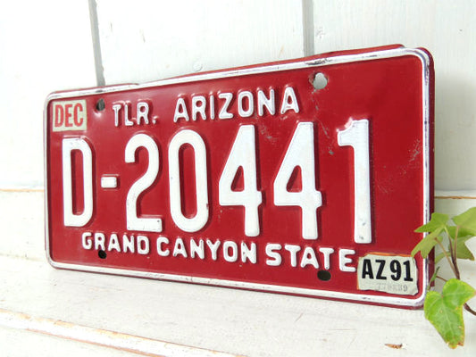 【D-20441・グランドキャニオン】アリゾナ州・赤・ヴィンテージ・ナンバープレート・カーライセンス