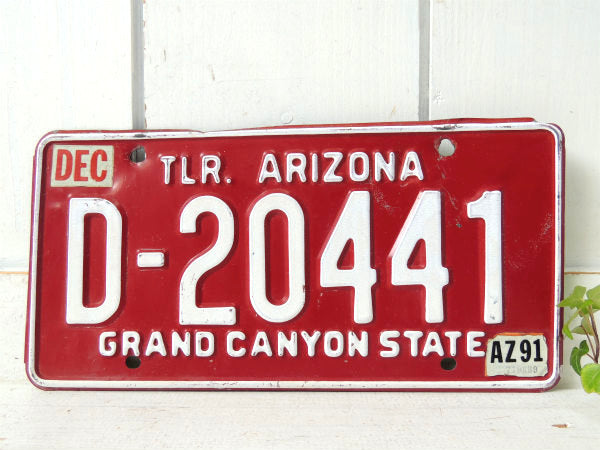 【D-20441・グランドキャニオン】アリゾナ州・赤・ヴィンテージ・ナンバープレート・カーライセンス