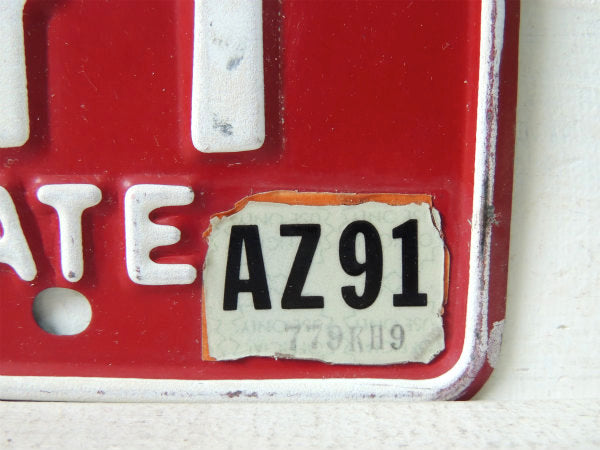 【D-20441・グランドキャニオン】アリゾナ州・赤・ヴィンテージ・ナンバープレート・カーライセンス