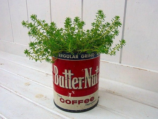 【Butter-Nut Coffee】ブリキ製・ヴィンテージ・コーヒー缶 USA