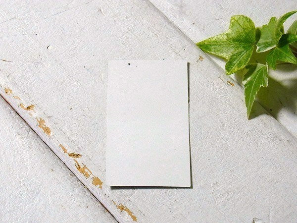 【DYER BRAND/ダイアーブランド】サーフボード・カリフォルニア限定・ステッカー