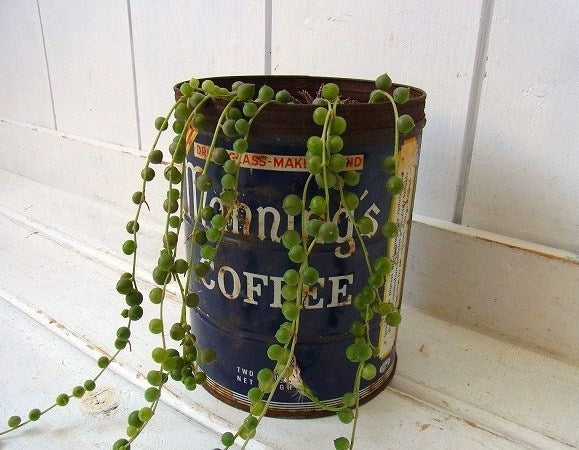 【Manning's COFFEE】ブリキ製・ヴィンテージ・コーヒー缶/ティン缶 USA