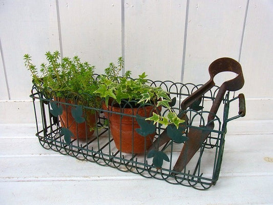 緑色のシャビーなヴィンテージ・ワイヤーバスケット/カゴ　USA