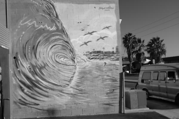 BIRD'S SURF SHED サンディエゴ・サーフショップ・カリフォルニア・ステッカー(白黒)