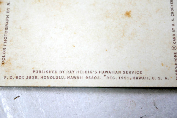 1950s HAWAII ホノルル イオラニ宮殿　アメ車　ヴィンテージ　ポストカード　絵葉書　USA