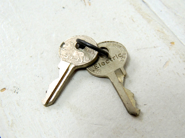 【Electric】ビンテージ・MASTER LOCK・南京錠・ライオン柄・2本鍵・ミリタリー