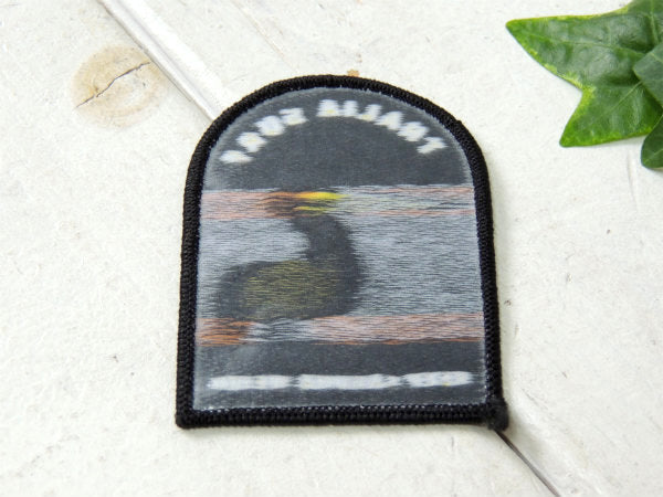 【タリアサーフ】THALIA・サーフショップ・カリフォルニア・ラグナビーチ・ペリカン柄・ワッペン