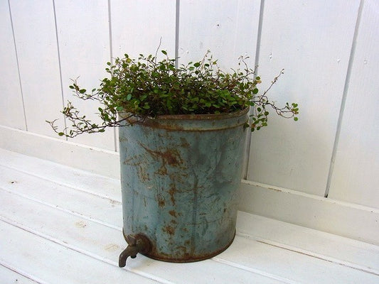 【DECOWARE】ブリキ製・蛇口付きアンティーク・イリゲーター/ブリキ缶　USA