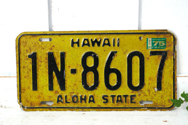 HAWAII ハワイ・アロハ・アメ車・イエロー・ビンテージ・ナンバープレート カーライセンス USA