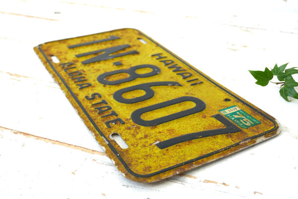 HAWAII ハワイ・アロハ・アメ車・イエロー・ビンテージ・ナンバープレート カーライセンス USA