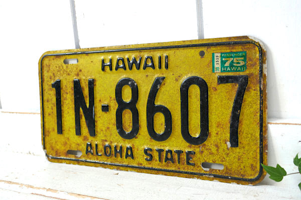HAWAII ハワイ・アロハ・アメ車・イエロー・ビンテージ・ナンバープレート カーライセンス USA