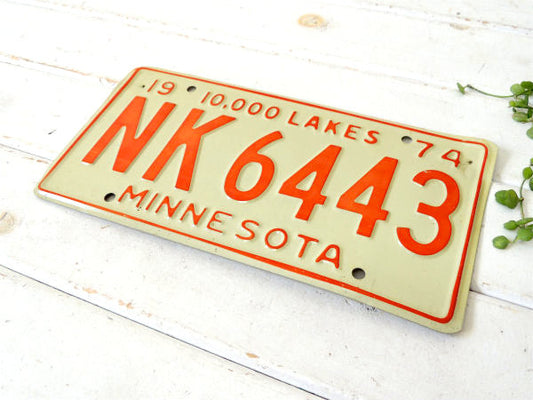 MINESOTA ミネソタ州 ヴィンテージ ナンバープレート カーライセンスプレート USA アメ車