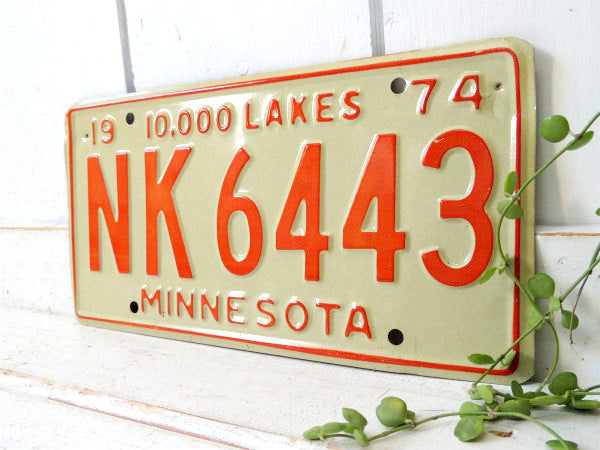 MINESOTA ミネソタ州 ヴィンテージ ナンバープレート カーライセンスプレート USA アメ車