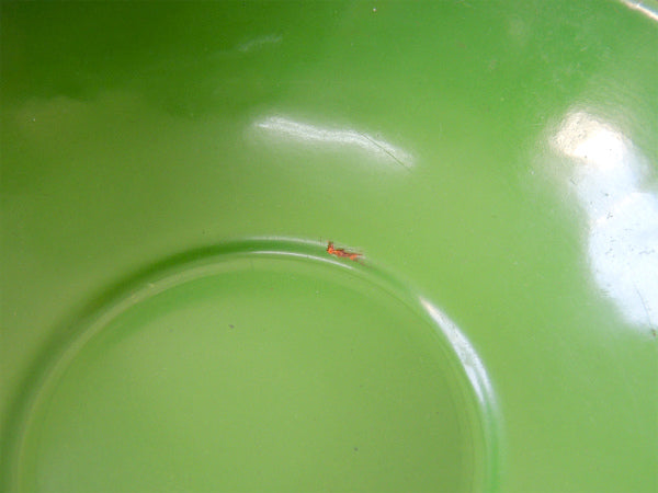 グリーン アンティーク・ホーローボウル・琺瑯・キッチン雑貨・USA