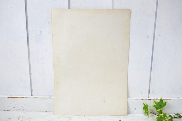 OUR FRIENDS 犬 リトグラフ 50's ヴィンテージ アートワーク ポスター 壁飾り US