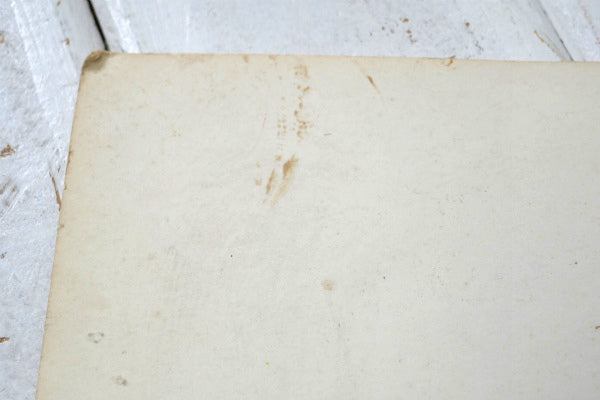 OUR FRIENDS 犬 リトグラフ 50's ヴィンテージ アートワーク ポスター 壁飾り US