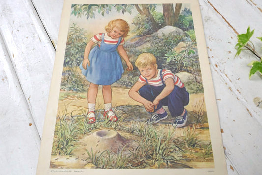 THE ANT HILL 1959年 リトグラフ ヴィンテージ アートワーク ポスター 壁飾り US