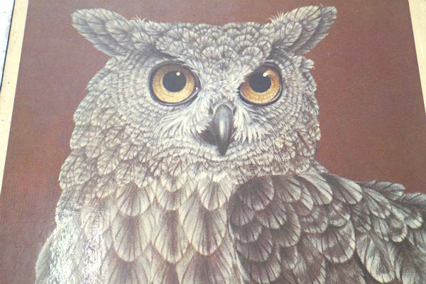 H Vos・フクロウ・Owl・ヴィンテージ・ウォールアート・壁飾り・ウォールデコ・インテリア USA
