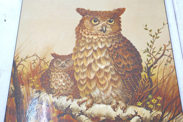 フクロウ 親子・Owl・ヴィンテージ・ウォールアート・壁飾り・ウォールデコ・インテリア USA