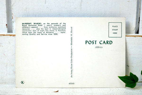 ホノルル 1950 ワイキキ McINERNY ヴィンテージ ポストカード US 絵葉書 写真