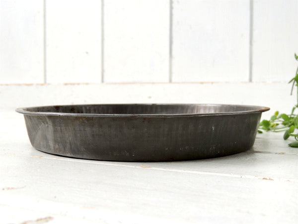 APPLE CAKE アップルケーキ 1940s・USA・ビンテージ・パイ皿　パイプレート