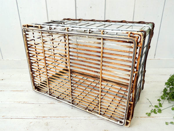 【SHAMROCK Farms】シャビー・メタル製・ヴィンテージ・ミルクボトルケース/キャリーケース