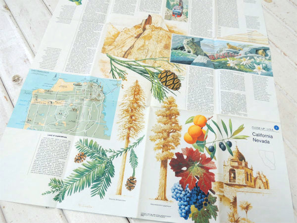 ナショナル ジオグラフィック カリフォルニア州&ネバダ州・80's ヴィンテージ・マップ・地図