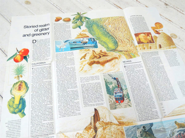 ナショナル ジオグラフィック カリフォルニア州&ネバダ州・80's ヴィンテージ・マップ・地図