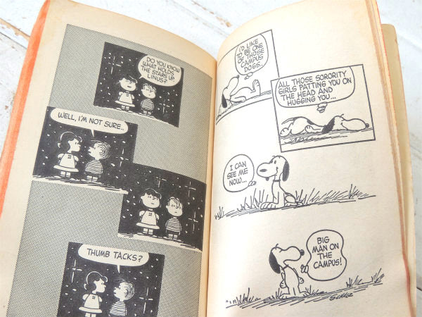 ピーナッツの仲間たち　スヌーピー&チャーリーブラウン・1969年・ビンテージ・コミック・4コマ漫画