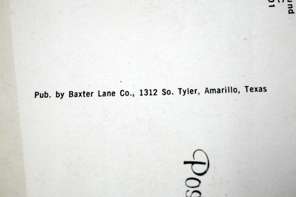 US エアストリーム RV キャンピングカー テキサス ヴィンテージ ポストカード ハガキ・絵葉書