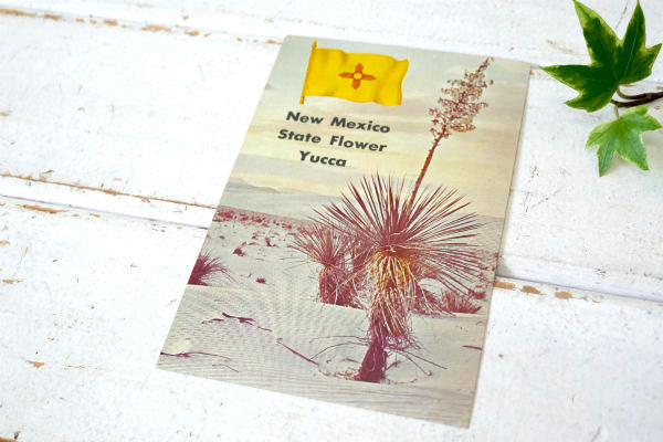 USA ニューメキシコ 州旗 Yucca ユッカ 花・ヴィンテージ・ポストカード ハガキ・絵葉