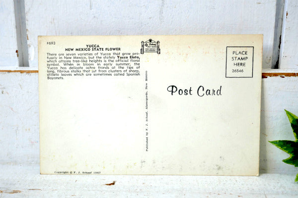 USA ニューメキシコ 州旗 Yucca ユッカ 花・ヴィンテージ・ポストカード ハガキ・絵葉