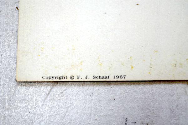 USA ニューメキシコ 州旗 Yucca ユッカ 花・ヴィンテージ・ポストカード ハガキ・絵葉