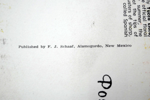 USA ニューメキシコ 州旗 Yucca ユッカ 花・ヴィンテージ・ポストカード ハガキ・絵葉