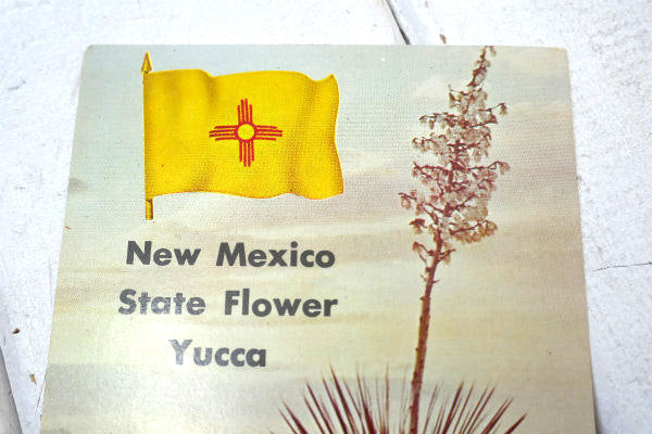 USA ニューメキシコ 州旗 Yucca ユッカ 花・ヴィンテージ・ポストカード ハガキ・絵葉