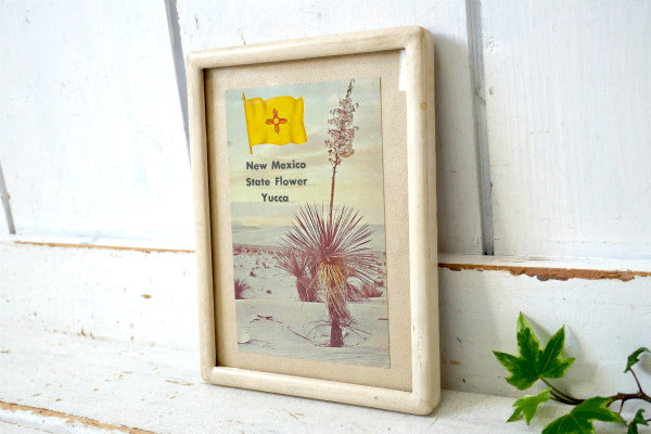 USA ニューメキシコ 州旗 Yucca ユッカ 花・ヴィンテージ・ポストカード ハガキ・絵葉