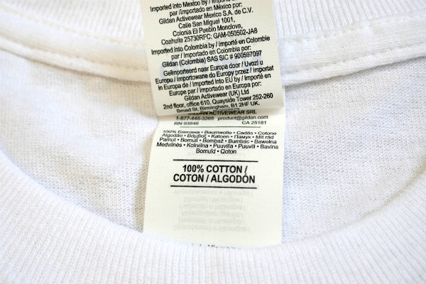 Skip Frye・スキップフライ・Frye Wings・ホワイト×ブルー・ポケットTシャツ(M)