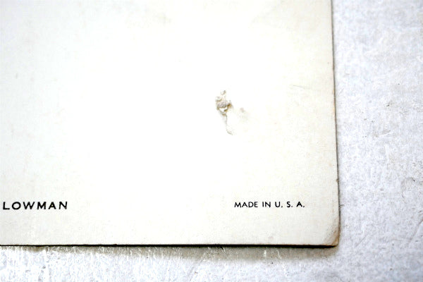 フェニックス アリゾナ サグアロ サボテン・ヴィンテージ・ポストカード US ハガキ・絵葉書・印刷物