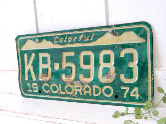 Colorful 1974's コロラド州 ヴィンテージ ナンバープレート カーライセンスプレート USA
