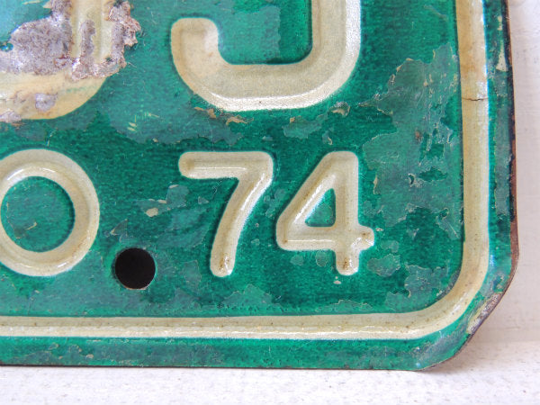 Colorful 1974's コロラド州 ヴィンテージ ナンバープレート カーライセンスプレート USA