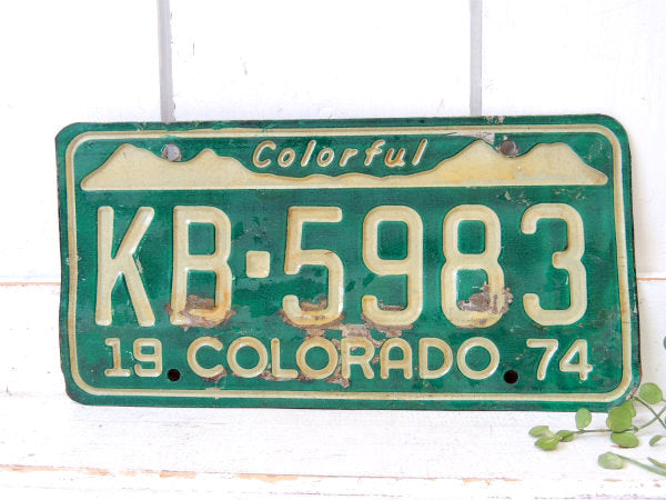Colorful 1974's コロラド州 ヴィンテージ ナンバープレート カーライセンスプレート USA