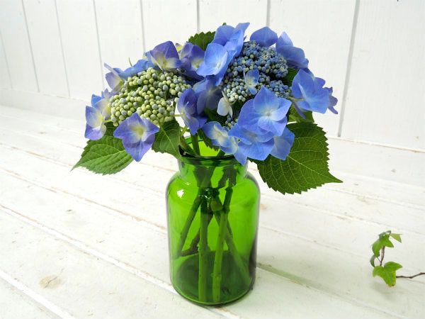 【ベルギー製・緑色】ヴィンテージ・薬瓶・メディカルボトル・ガラス瓶・花瓶・フラワーベース