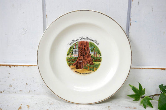 レッドウッド国立公園 US ツリーハウス 陶磁器 スーベニア 50s ヴィンテージ プレート 絵皿