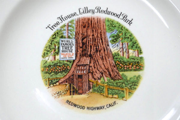 レッドウッド国立公園 US ツリーハウス 陶磁器 スーベニア 50s ヴィンテージ プレート 絵皿