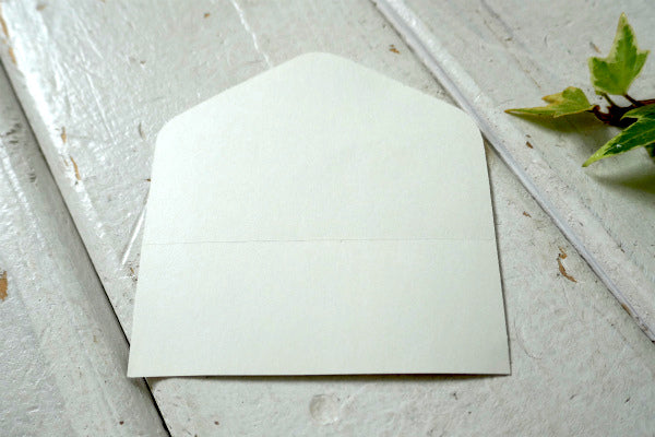 1973 patagonia・パタゴニア・シカゴ・限定 ステッカー USA 鹿 町並み カラフル