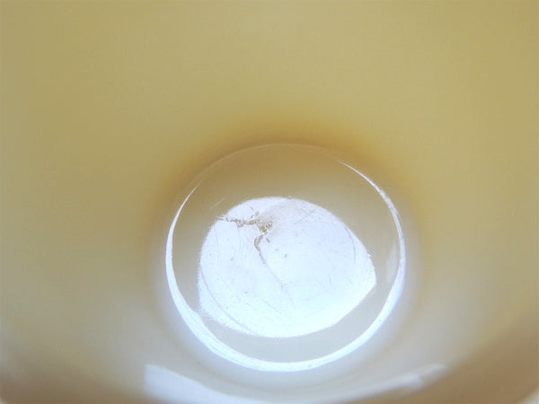 【Fire King】ファイヤーキング・アイボリー・Dハンドル・マグカップ/50's