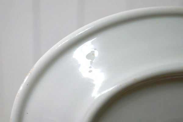 D E McNicol セラミック オーバル型 20's ヴィンテージ プレート お皿 食器 USA