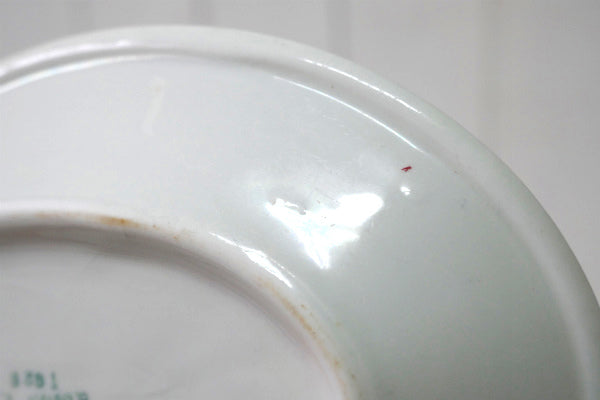 D E McNicol セラミック オーバル型 20's ヴィンテージ プレート お皿 食器 USA